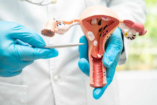 IUD and Coil Fitting Supplies: Equipment Checklist UK