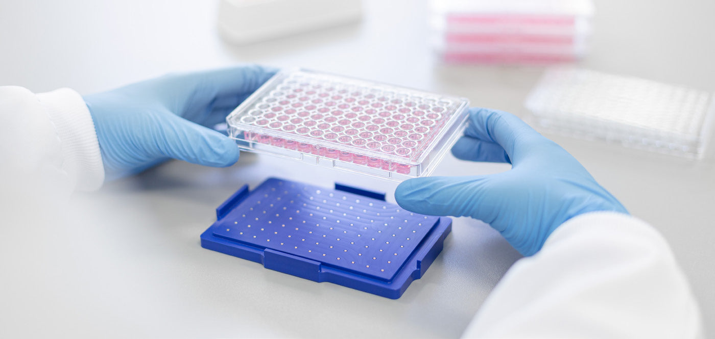 3D Cell Culture Solutions