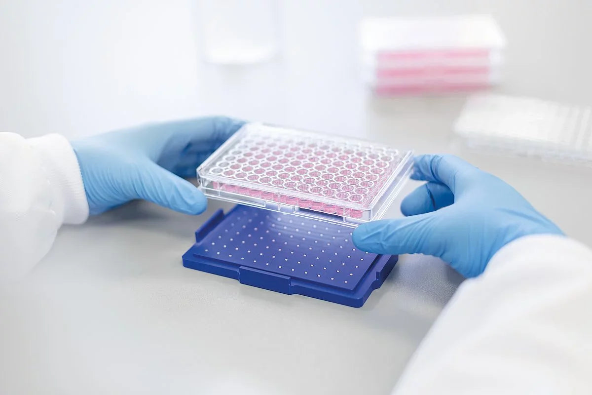 Cell Culture Inserts and Plates