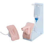 3B Scientific basic catheterisation trainer set