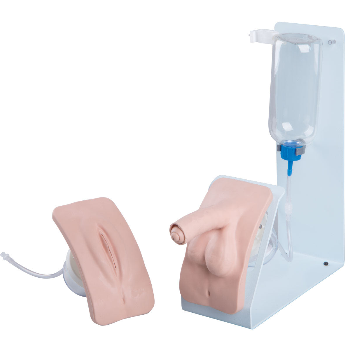 3B Scientific basic catheterisation trainer set