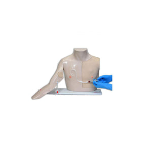 Light skin Chester Chest with port access arm, 3B Scientific medical training model for anatomy and clinical practice.