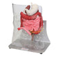 Otto Ostomy™ Advanced Model by 3B Scientific showing detailed medical ostomy simulation with realistic features and components.