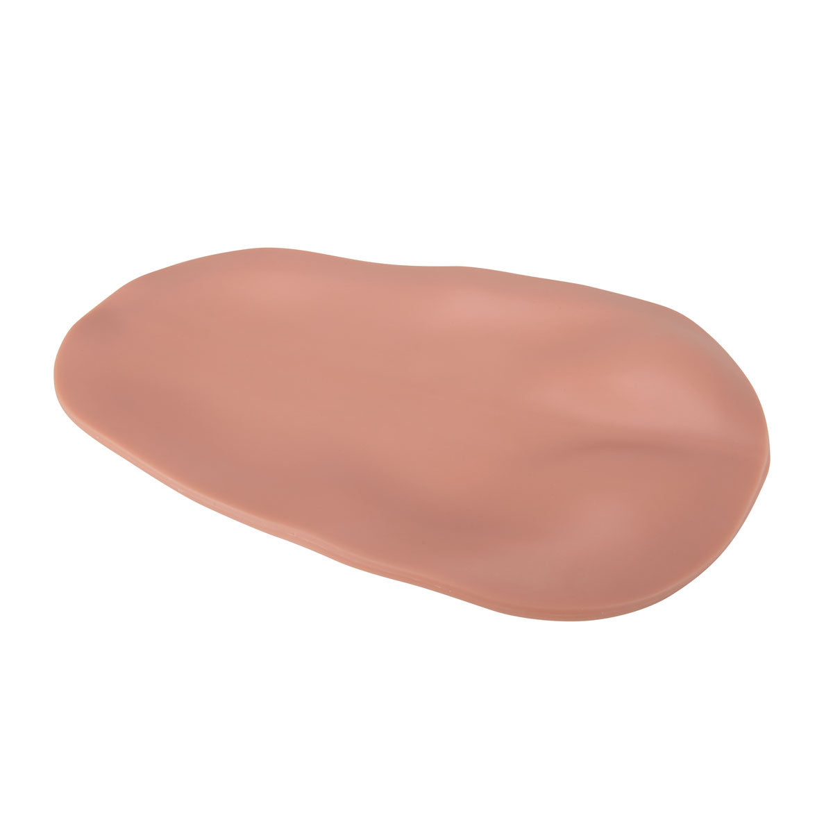 3B Scientific spare skin for epidural and spinal injection trainer