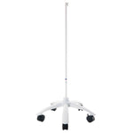 3B Scientific metal skeleton stand with 5 castors
