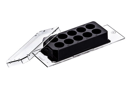 CellView Cell Culture Slide, Polystyrene, 75x25 mm - Laboratory Microscope Slide for Cell Culturing