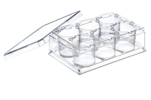 Sterile 6-Well PS Plate with Lid - THINCERT Laboratory Supplies