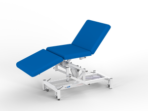 Bariatric 3 Section Couch - Includes Electric Back