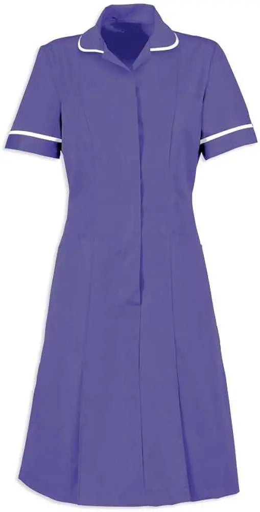 Classic Collar Dress - Zip Front - Contemporary Cut