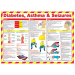 Diabetes, Asthma & Seizures First Aid Poster FA760