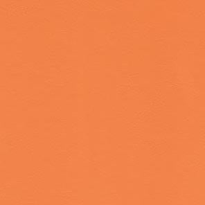 Doherty Phlebotomy Chair