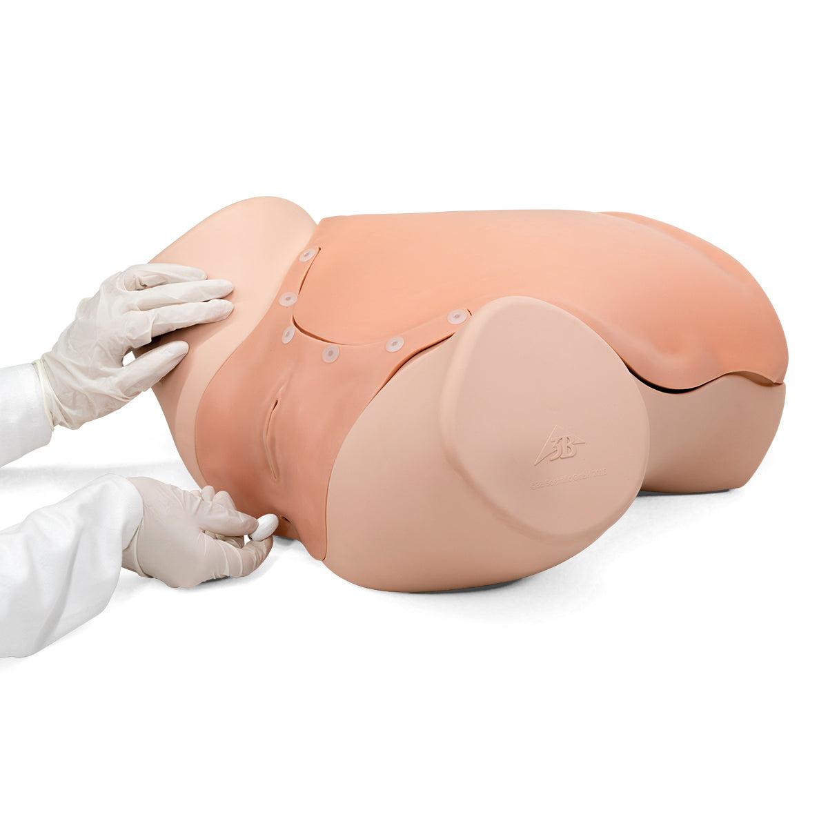 Gynecologic Skills Trainer P91