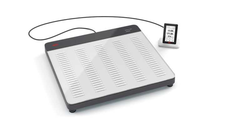 Seca 651 Flat Scales