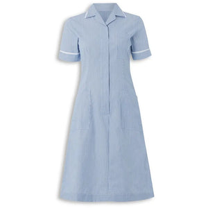 Alexandra women's stripe nursing dress featuring a stylish, comfortable design with a fitted waist and short sleeves.