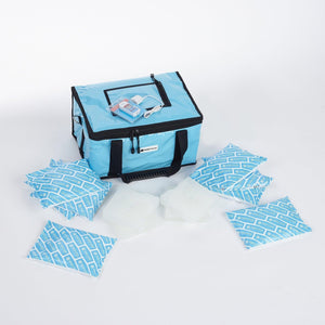 CorrMed 10L vaccine bag with accessories, featuring insulated compartments and secure zippers for safe vaccine storage.