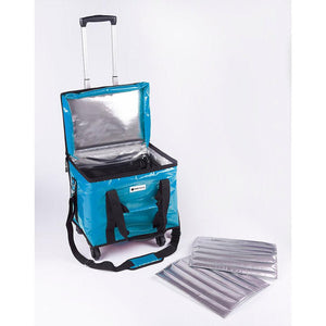CorrMed 20-litre thermal carry bag with trolley, insulated for food and beverage transport, featuring sturdy wheels and handles.