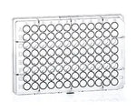 Clear 96-well microplate with U-bottom design made of polystyrene by GBO, showing multiple wells for laboratory testing.
