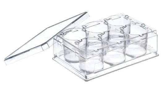 GBO Sterile 6-well PS plate with lid for laboratory use, clear plastic with six individual wells and attached lid