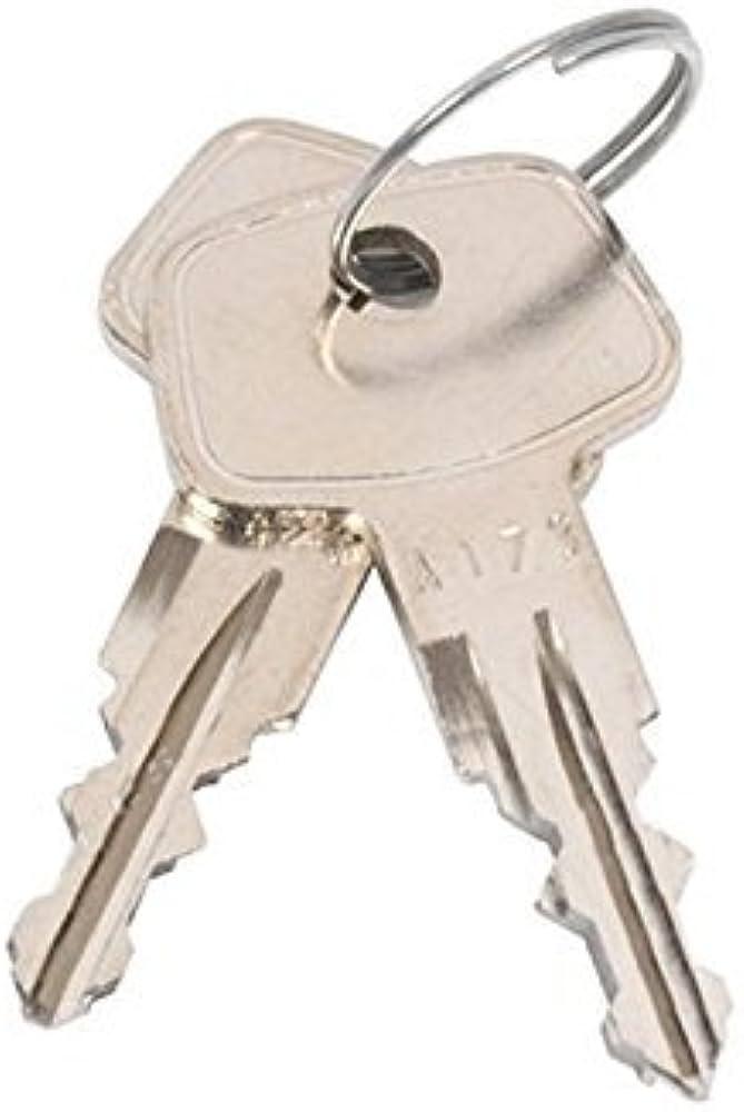 Pair of Lec freezer door keys, small metal keys with keyholes, designed for securing Lec freezer doors.