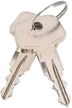 Pair of Lec freezer door keys, small metal keys with keyholes, designed for securing Lec freezer doors.