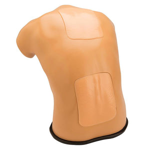 Blue Phantom Lumbar Puncture & Spinal Epidural Ultrasound Training Model