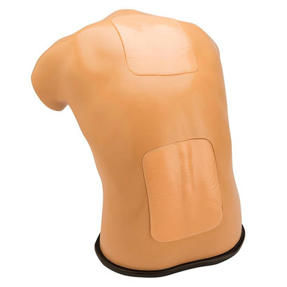 Blue Phantom Lumbar Puncture & Spinal Epidural Ultrasound Training Model