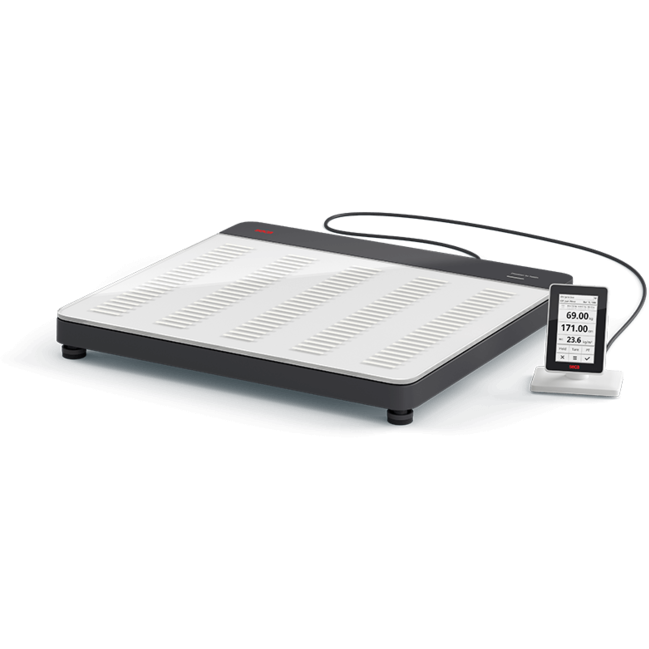Seca 651 Flat Scales
