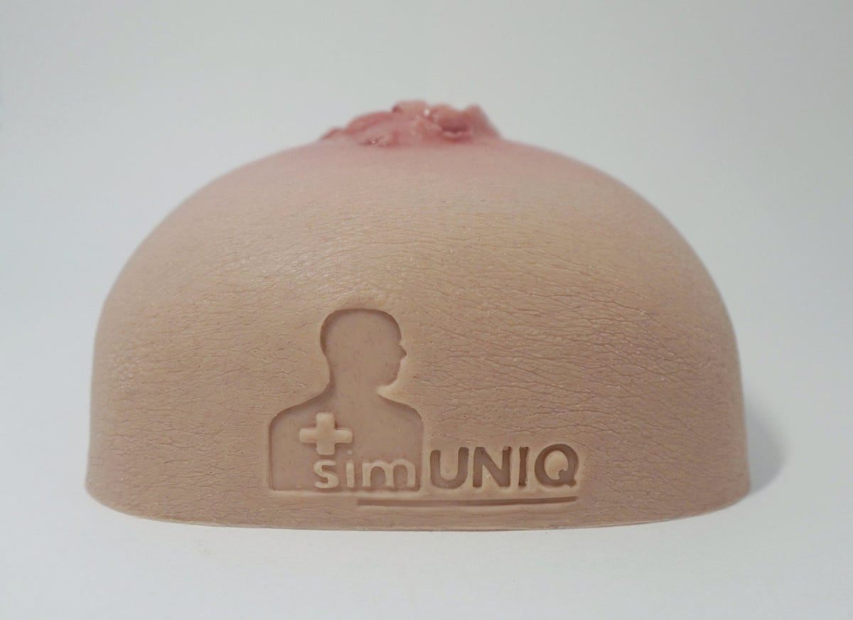 SimUniq Pack-IQ Wound Packing Trainer – Haemostatic Gauze Training Model
